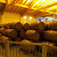 20190411_HaimhausenAusfahrt09