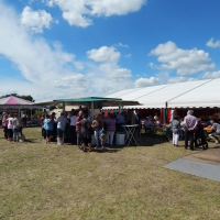 DF2015-08