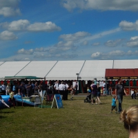 DF2015-09