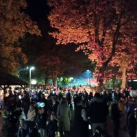 20221024_LaternenumzugHasloh05