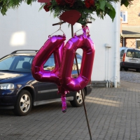20180704_RubinHochzeit01