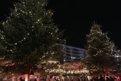 Weihnachtsdorf Pinneberg 17.12.2019