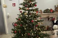 Weihnachtsständchen Haus Rehhagen Hasloh 21.12.2025
