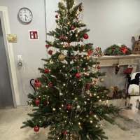 20251221_WeihnachtsstaendchenHausRehhagen01